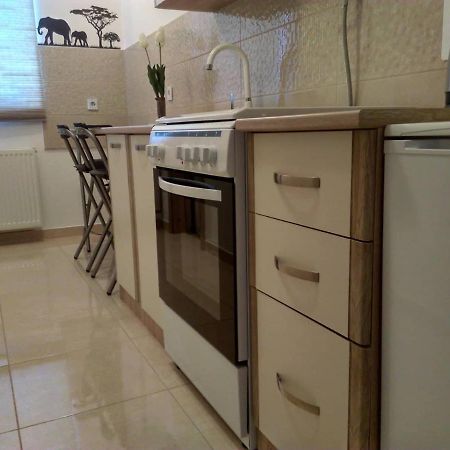 Studio Apartman Ždral Daruvar Esterno foto