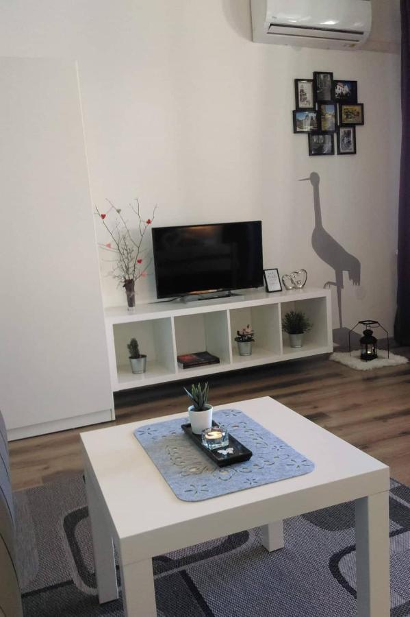 Studio Apartman Ždral Daruvar Esterno foto