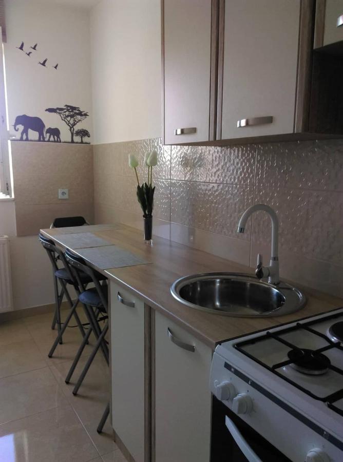 Appartamento Studio Apartman Ždral Daruvar Esterno foto