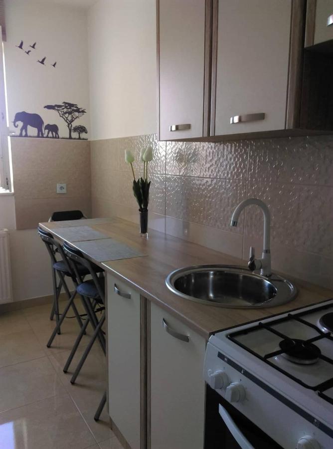 Studio Apartman Ždral Daruvar Esterno foto