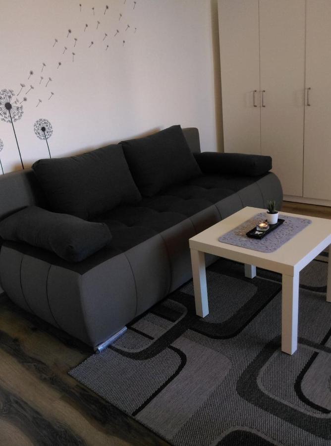 Studio Apartman Ždral Daruvar Esterno foto