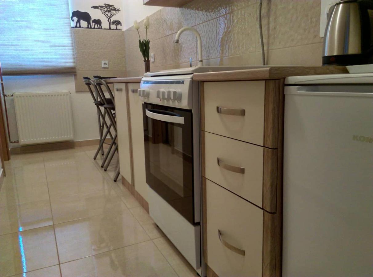 Studio Apartman Ždral Daruvar Esterno foto