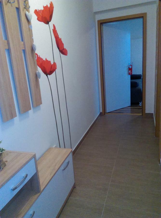 Studio Apartman Ždral Daruvar Esterno foto