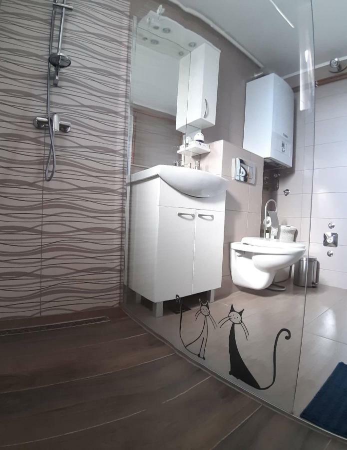Studio Apartman Ždral Daruvar Esterno foto
