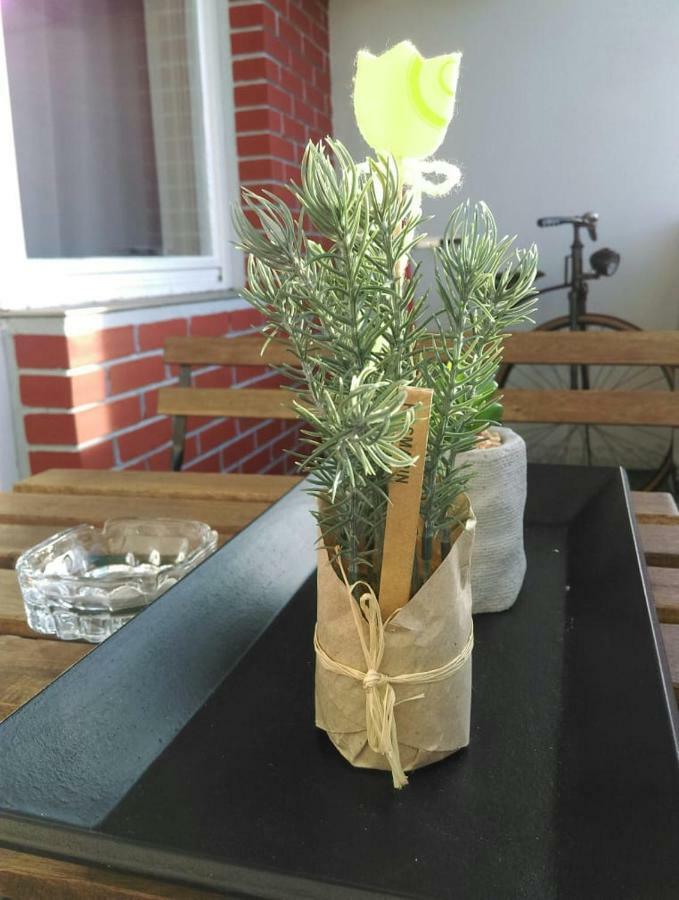 Studio Apartman Ždral Daruvar Esterno foto