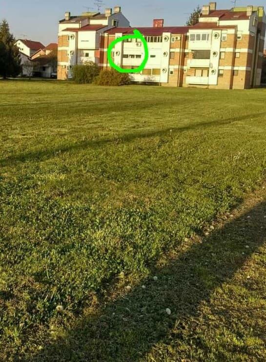 Studio Apartman Ždral Daruvar Esterno foto
