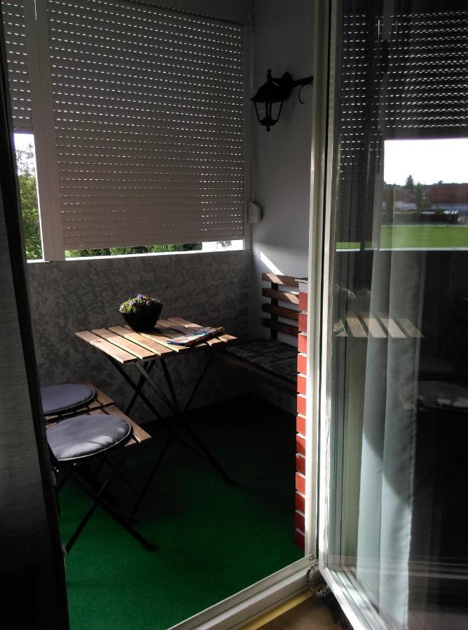 Studio Apartman Ždral Daruvar Esterno foto